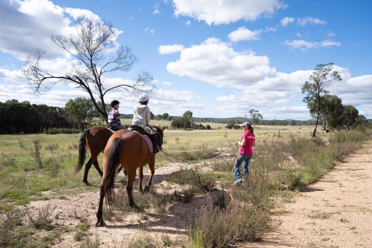 Braidwood Saddle Camp Tiny House By Tiny Awayヴィラ エクステリア 写真