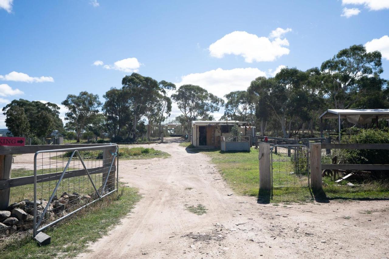 Braidwood Saddle Camp Tiny House By Tiny Awayヴィラ エクステリア 写真